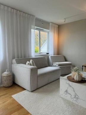 Newly renovated apartment with a view